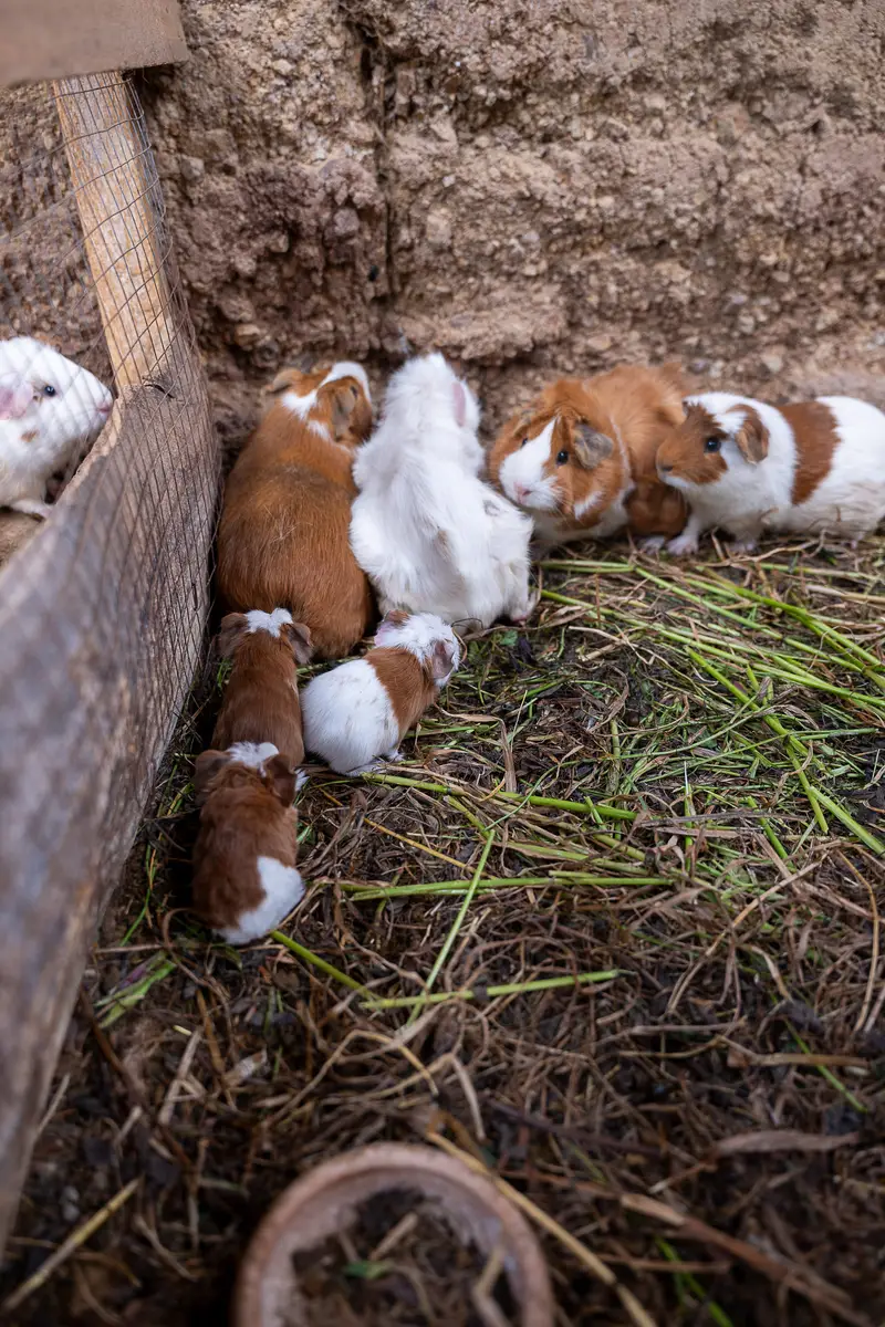 Foto del encuentro